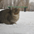 Image-square_50