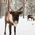 Image-square_50
