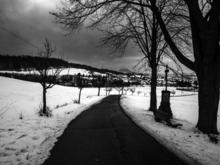Image-rectangle_220_165