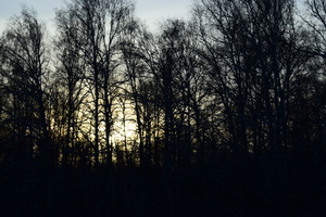 Image-preview_300x200