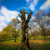 Image-square_50