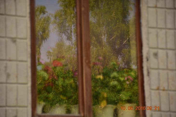 Image-normal