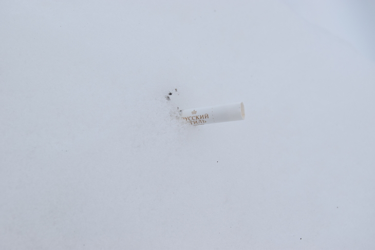 Image-normal