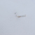 Image-square_50