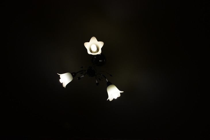 Image-normal