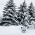 Image-square_50