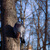 Image-square_50