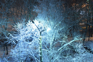 Image-preview_300x200