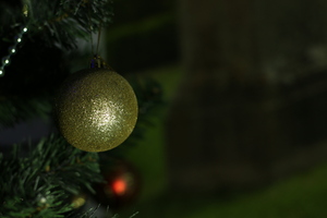 Image-preview_300x200