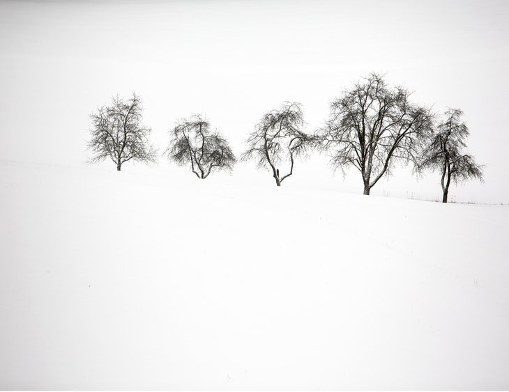 Image-normal