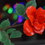 Image-square_50