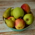 Image-square_50