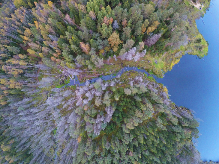 Image-normal