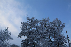 Image-preview_300x200