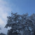 Image-square_50