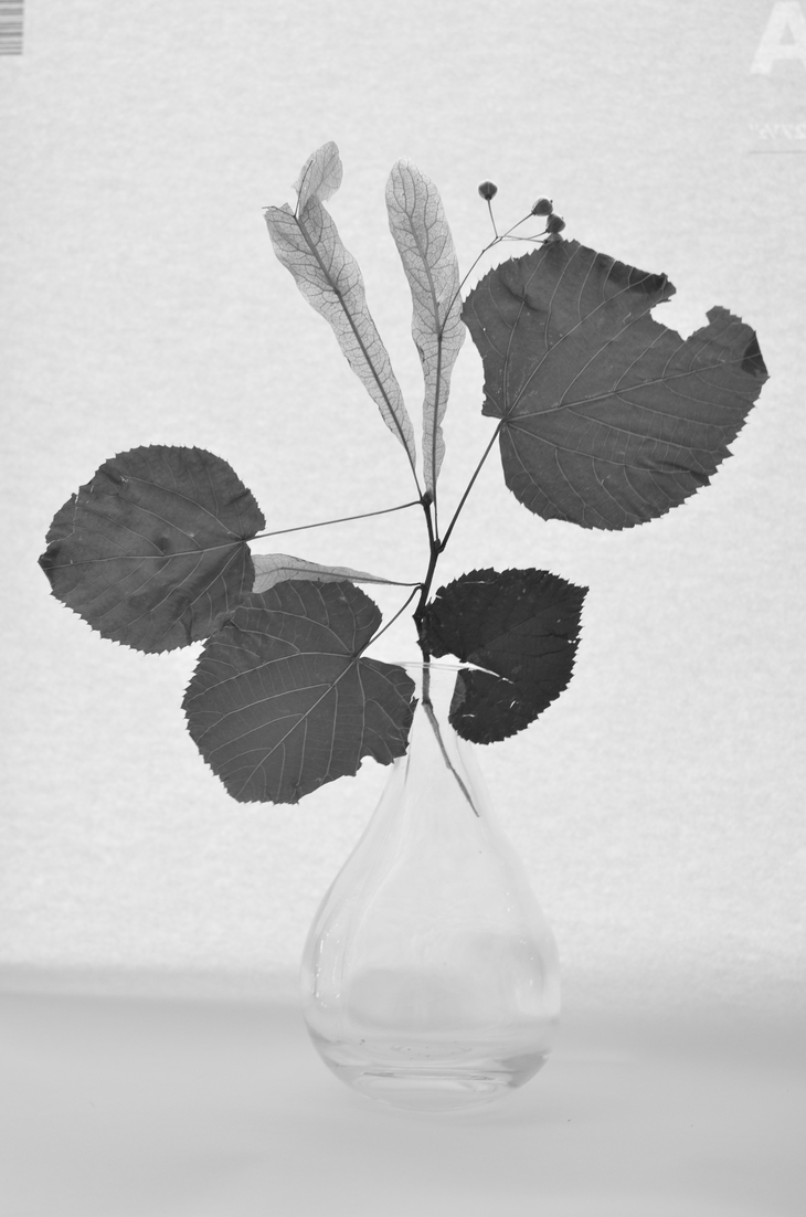 Image-normal