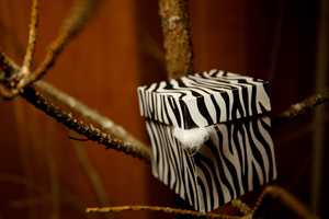 Image-preview_300x200