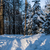 Image-square_50