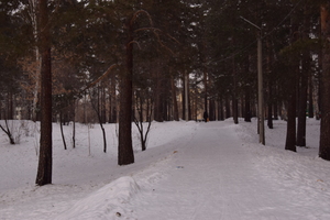 Image-preview_300x200
