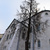 Image-square_50