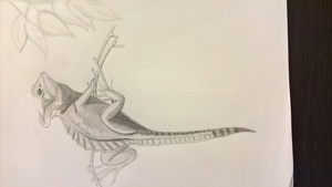 Image-preview_300x200