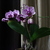 Image-square_50