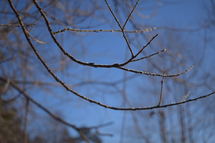 Image-normal
