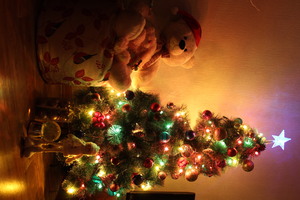 Image-preview_300x200