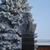 Image-square_50