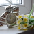 Image-square_50