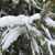 Image-square_50