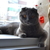 Image-square_50