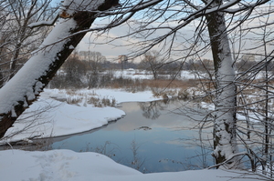 Image-preview_300x200