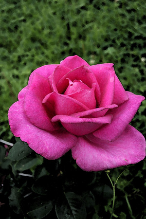 Image-preview_300x200