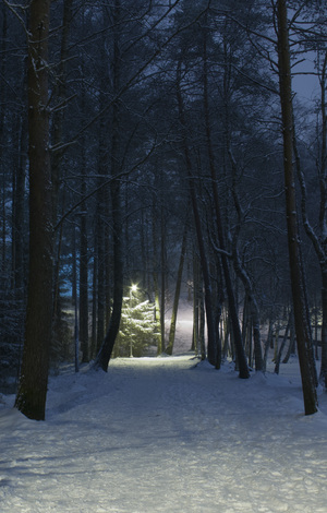 Image-preview_300x200