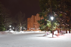 Image-preview_300x200