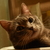 Image-square_50