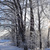 Image-square_50