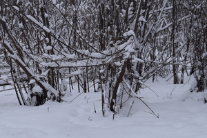 Image-preview_300x200