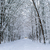Image-square_50