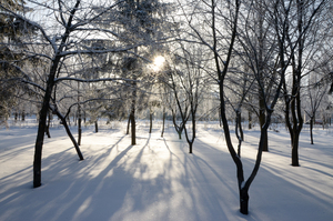Image-preview_300x200