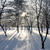 Image-square_50