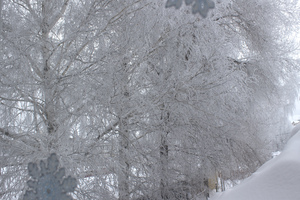 Image-preview_300x200