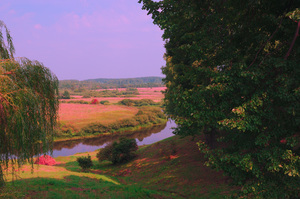 Image-preview_300x200