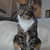 Image-square_50