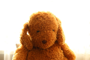 Image-preview_300x200