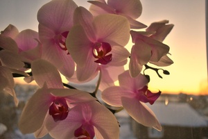 Image-preview_300x200