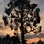 Image-square_50
