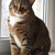 Image-square_50