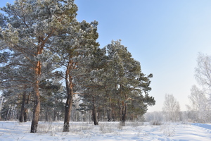 Image-preview_300x200